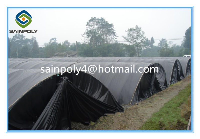 China Sainpoly Brand Tunnel Greenhouse for Mushroom