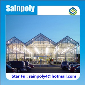 Large Agricultural Vegetable Glass Greenhouses