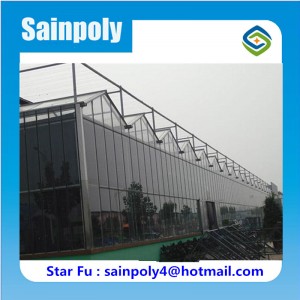 Modern Design Hot Selling Glass Greenhouses for Vegetable