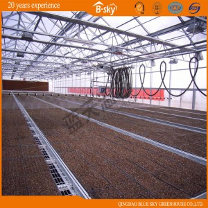 Long Life-Span Venlo Type Multi-Span Glass Greenhouse for Planting Vegetables