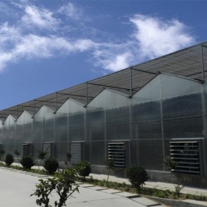 Polycarbonate Sheet Cover Agricultural Greenhouse PC Sheet Covered Greenhouse