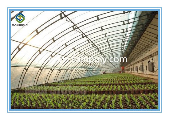 New Small Portable Solar Greenhouse for Home Use