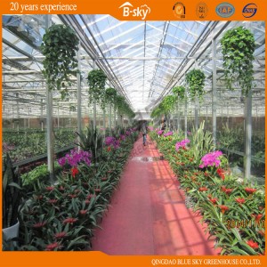 Durable Film Roof Glass Wall Greenhouse for Planting Vegetables