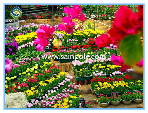 Aluminium Frame High Quality Glass Greenhouse for Sale