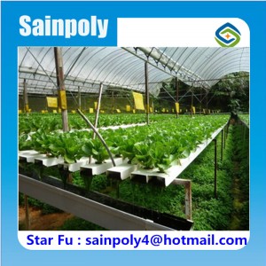 Agricultural Used Complete System Hydroponic Greenhouse