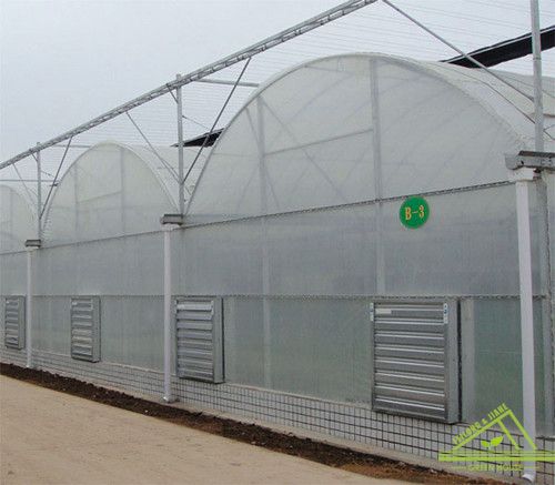 Multi-Span Gothic Film Greenhouse with PE Drop-Proof