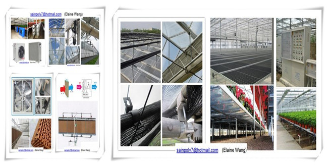 Commercial Large Size Hydroponics Film Green House for Tomato