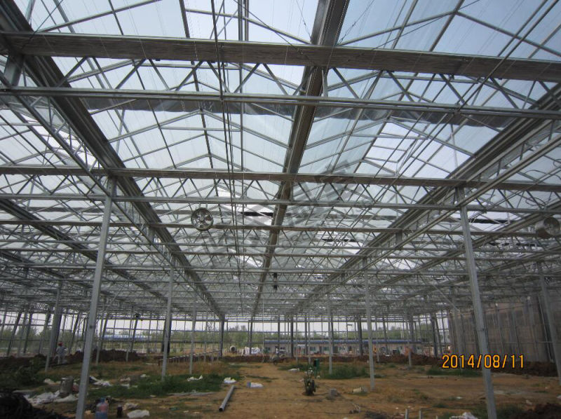 Multipurpose Good Appearance Glass Greenhouse with Venlo Structure