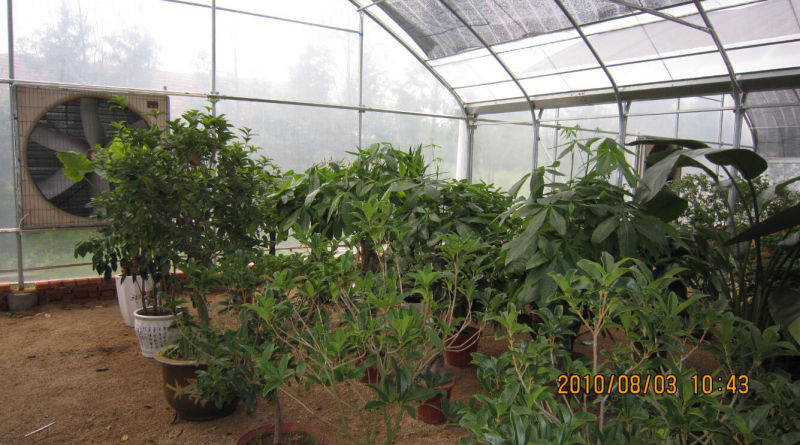 Film Greenhouse with Auto environmental Control System