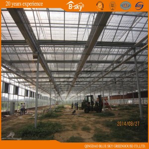 Multipurpose Good Appearance Glass Greenhouse with Venlo Structure