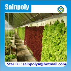 China Modern Design Agricultural Type Solar Greenhouse