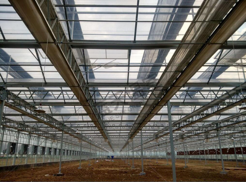 Beautiful Multi-Span Glass Green House with F-Clean Film Roof