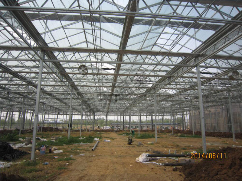 Extensively Used Venlo Structure Beautiful Glass Greenhouse