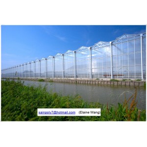 Commercial Hydroponic Film Green House for Pepper