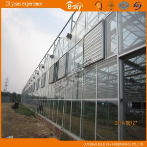 Extensively Used Venlo Structure Beautiful Appearance Greenhouse