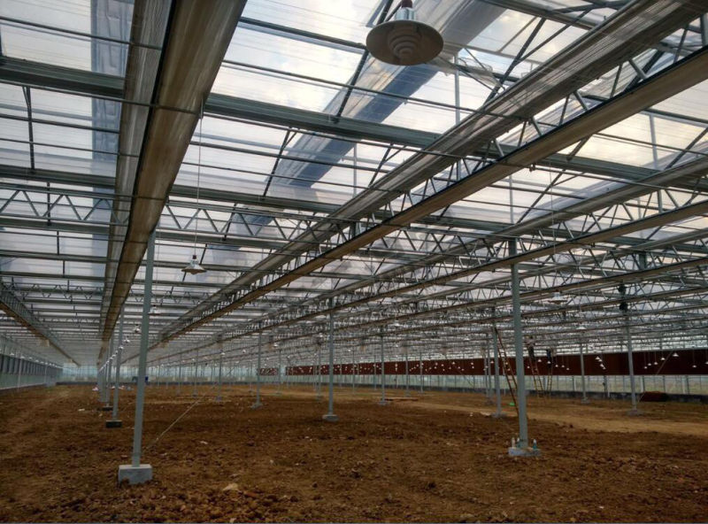 Multi-Span Glass Green House with F-Clean Film Roof