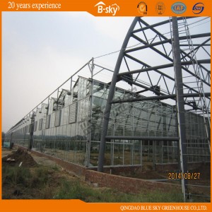 Extensively Used Glass Greenhouse for Agricultural Planting