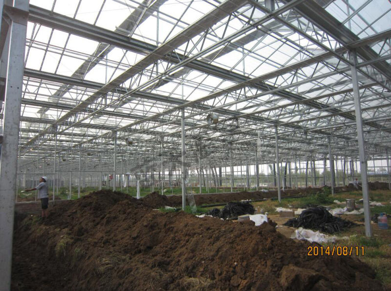 Multipurpose Venlo Structure Beautiful Appearance Greenhouse