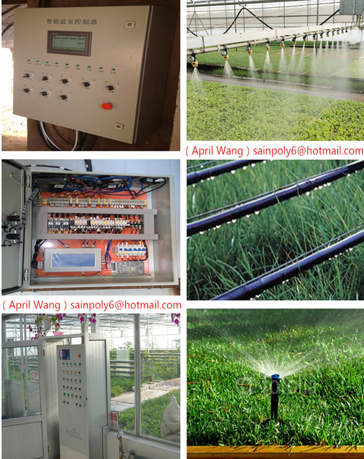 Low Price Plastic-Film Greenhouse for Potato