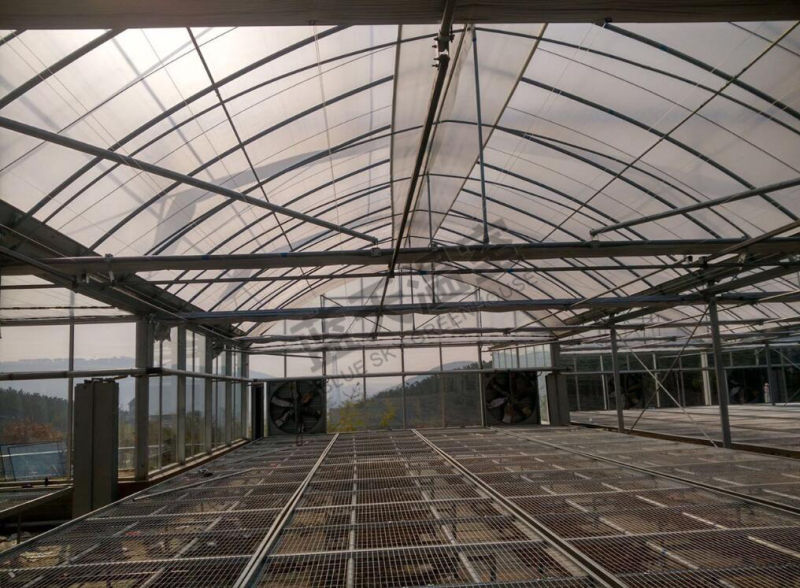 Durable F-Clean Multi-Span Film Greenhouse with Glass Wall