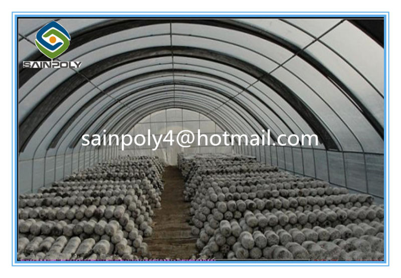High Quality Plastic Covered Tunnel Greenhouse for Mushroom