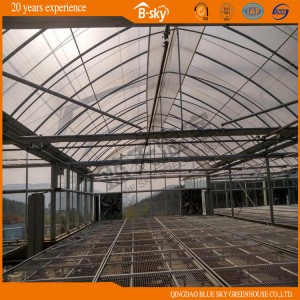 Durable F-Clean Multi-Span Film Greenhouse with Glass Wall