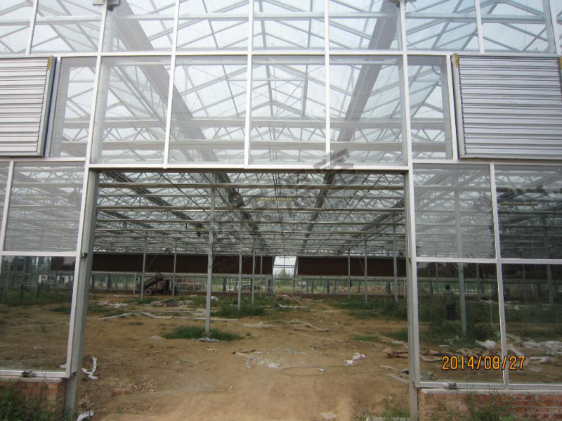 Long Life-Span Glass Greenhouse for Agricultural Planting