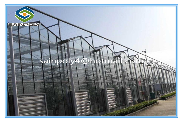 Large Agricultural Vegetable Glass Greenhouses