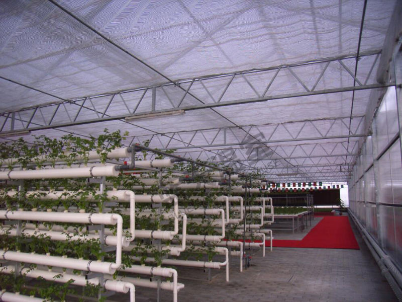 Durable Polycarbonate Sheet Green House for Planting Vegetables