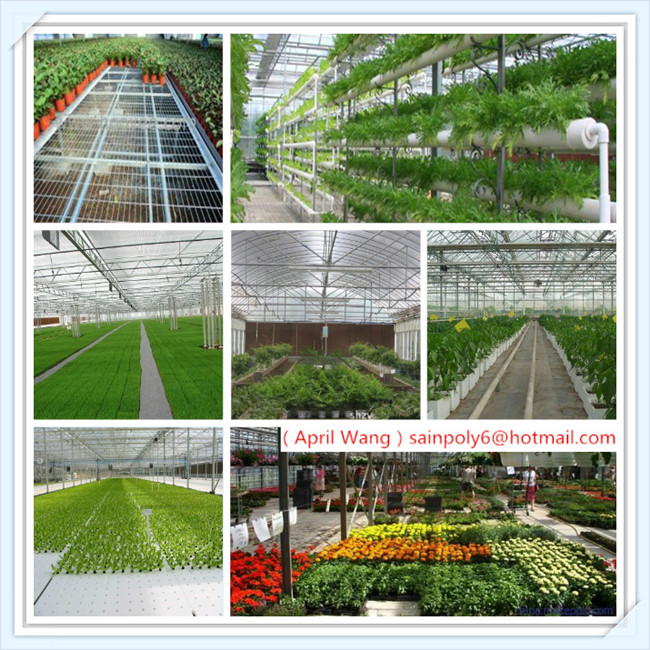 Low Price Glass Greenhouse for Plants