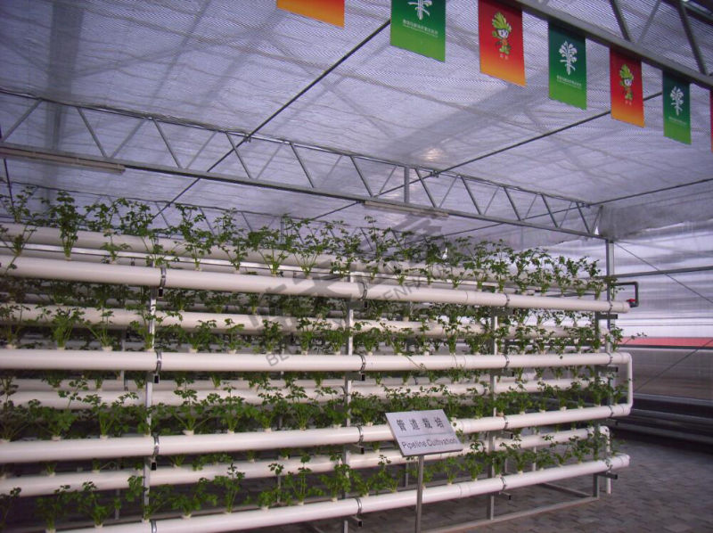 Polycarbonate Sheet Green House for Planting Vegetables