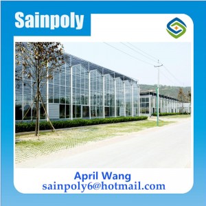 Easilly Installed Glass Greenhouse for Plants