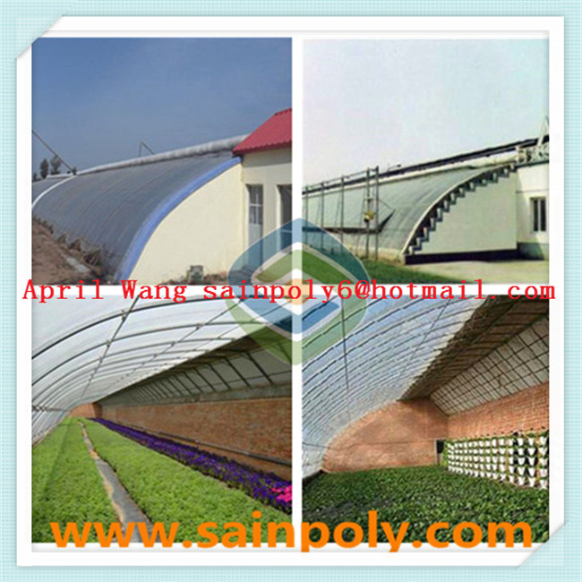 High Quality Solar Greenhouse for Potato