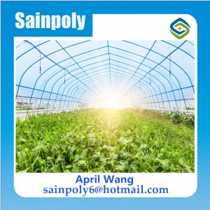 Wholesale Plastic-Film Tunnel Greenhouse for Sale