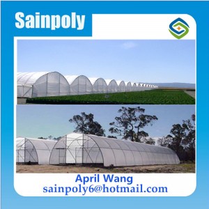 High Quality Plastic-Film Greenhouse for Vegetable
