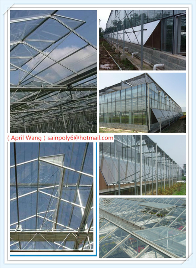 Hot Sale Glass Greenhouse for Agricultural