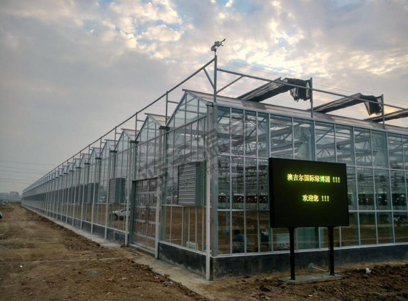 Durable Multi-Span Glass Green House with F-Clean Film Roof