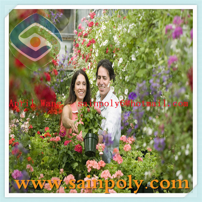 Low Price Garden Greenhouse for Flowers