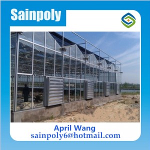 The Cheapest Glass Greenhouse for Vegetable