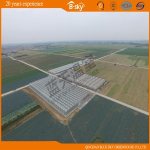 Glass Multi-Span Greenhouse