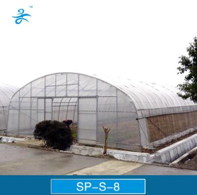 Single Span Agricultural Greenhouse for Vegetable Fruits