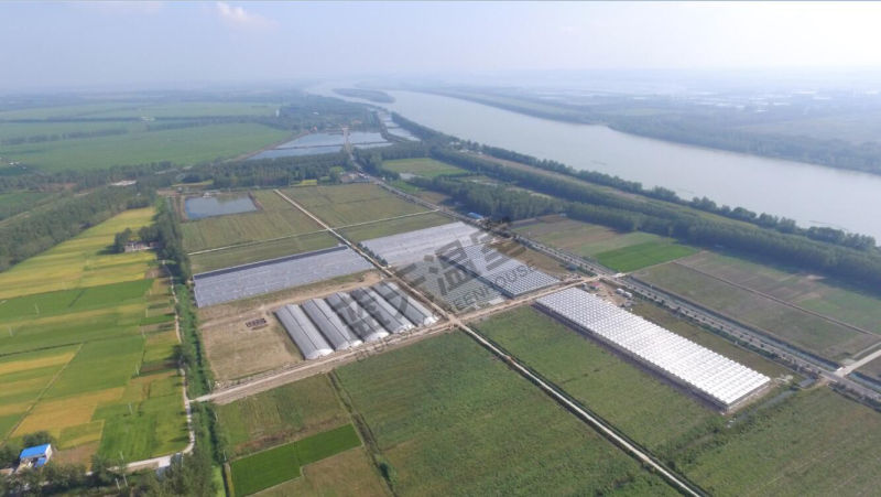 High Quality Good Appearance Glass Green House