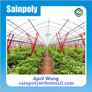 Low Price Glass Greenhouse for Agricultural