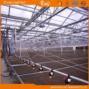 High Output Polycarbonate Sheet Venlo Type Greenhouse