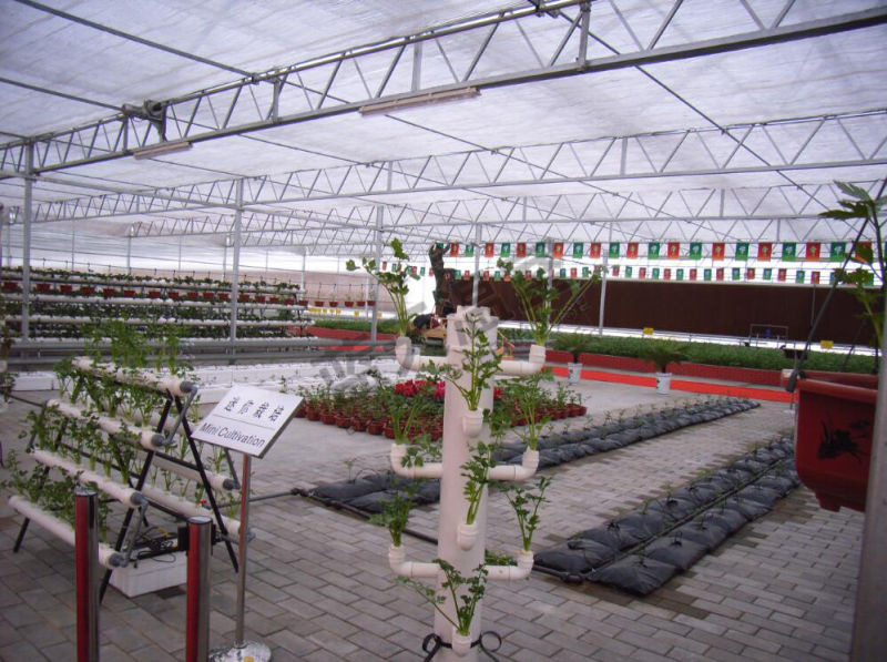 High Quality Polycarbonate Sheet Green House for Planting Vegetables
