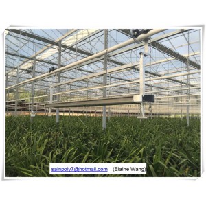 Factory Price PC Sheet Greenhouse with Hydroponic System for Flowers
