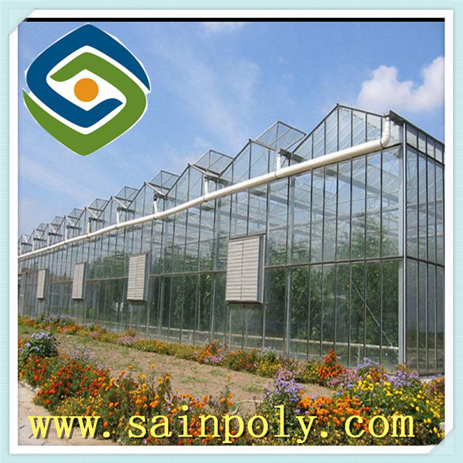 Low Price Glass Greenhouse for Plants