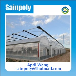 High Quality Multi-Span Polycarbonate Greenhouse for Plants