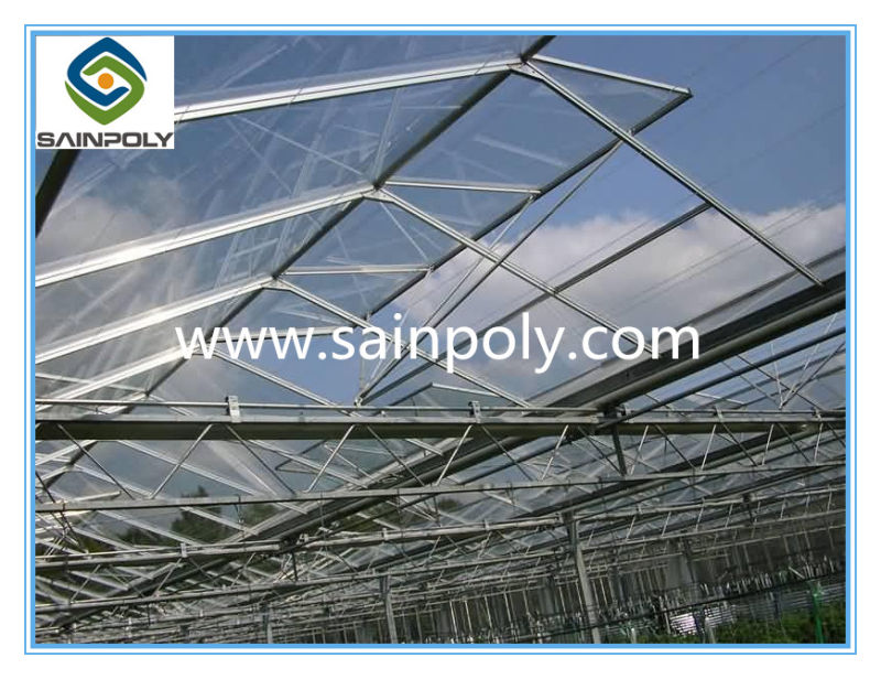 Horticultural Glass Greenhouse for Flower Growing