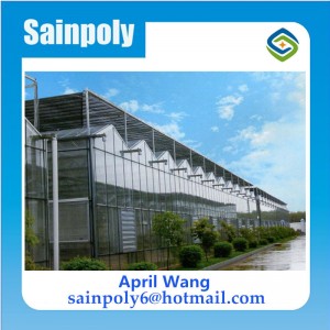 The Cheapest Glass Greenhouse for Potato